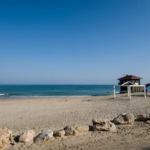 ים זורח חיפה